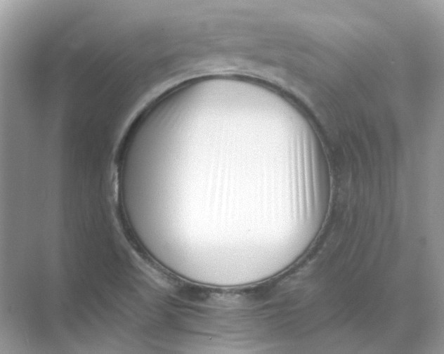 X0000073861509200608312013