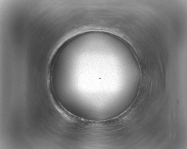 X0000073861511200608312013