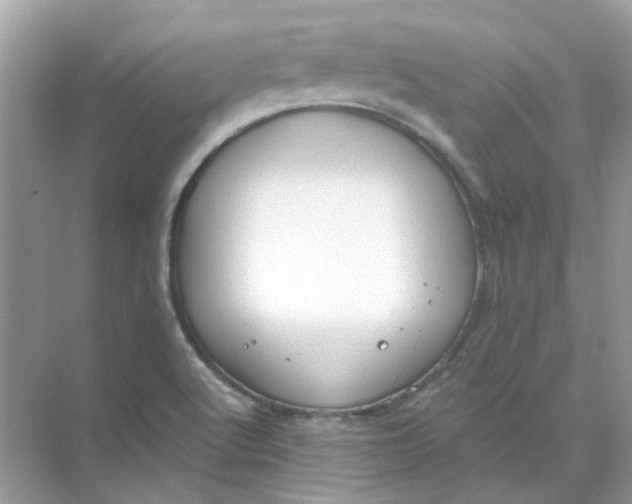 X0000073861512200608312013