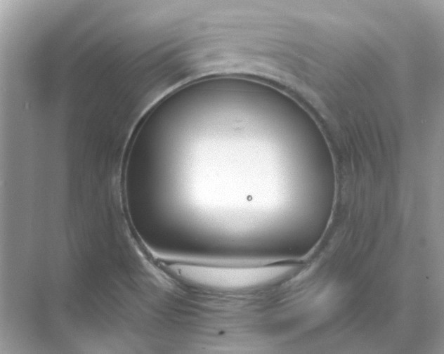 X0000073861513200608312013