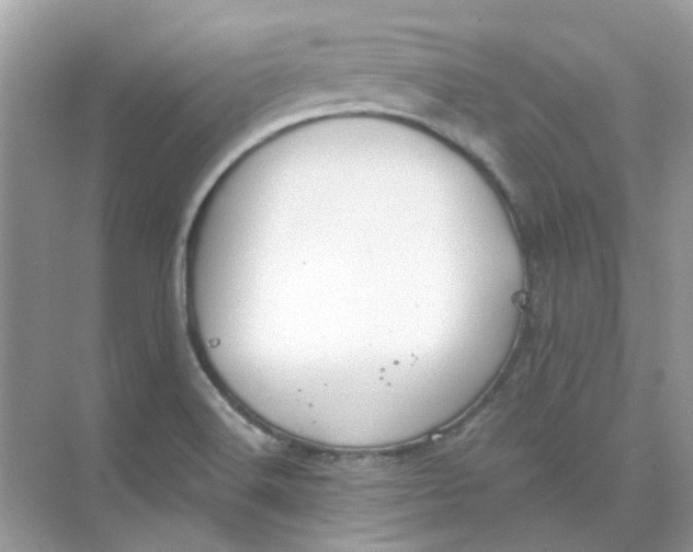 X0000073861516200608312013