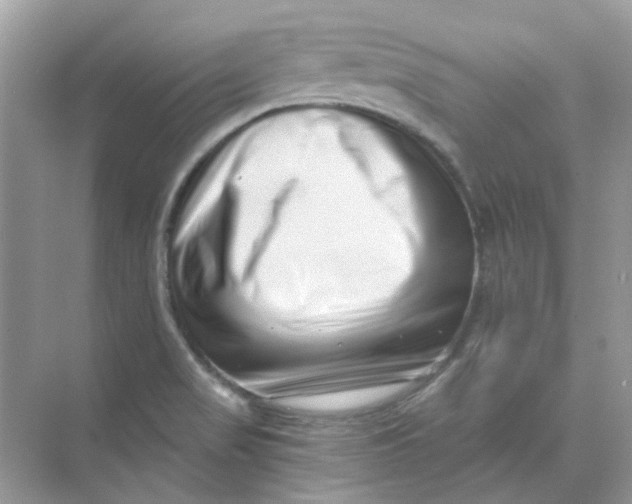 X0000073861517200608312013