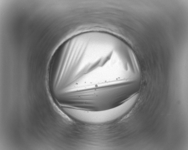 X0000073861518200608312013