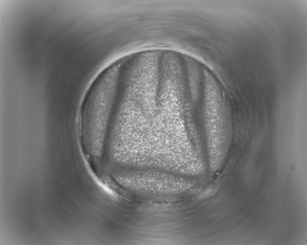 X0000073861519200608312013