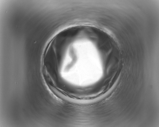 X0000073861520200608312013