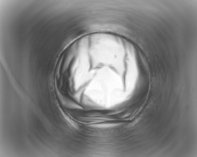 X0000073861521200608312013