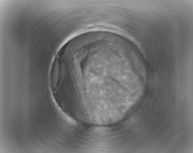 X0000073861522200608312013