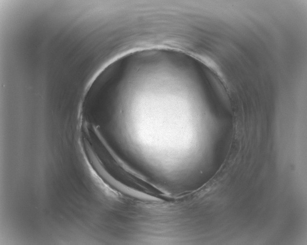 X0000073861524200608312013