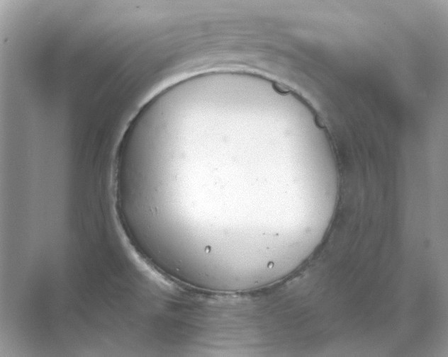 X0000073861526200608312013