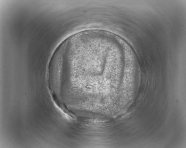 X0000073861527200608312013