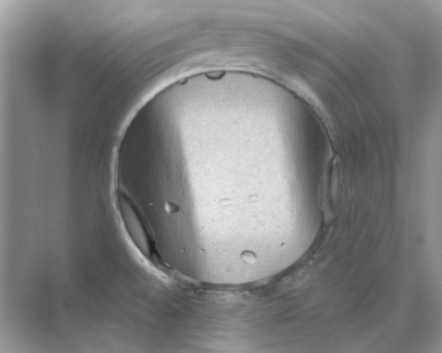 X0000073861528200608312013