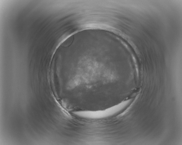 X0000073861529200608312013