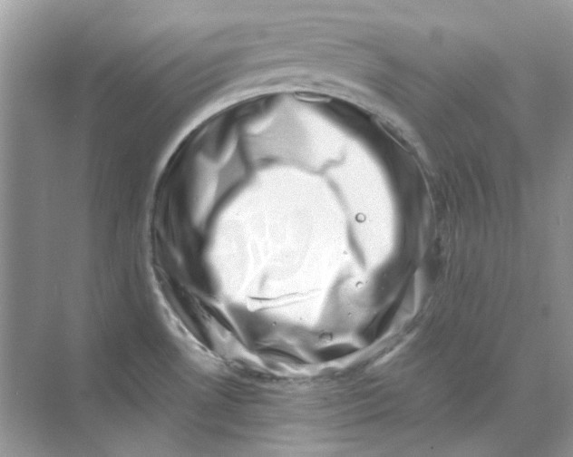 X0000073861530200608312013