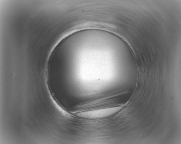 X0000073861531200608312013