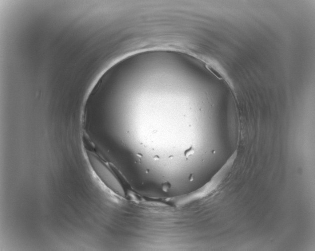 X0000073861532200608312013