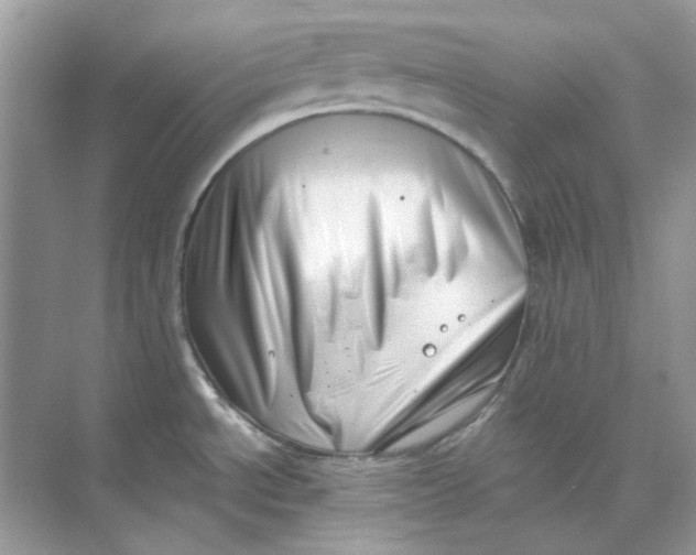 X0000073861534200608312013