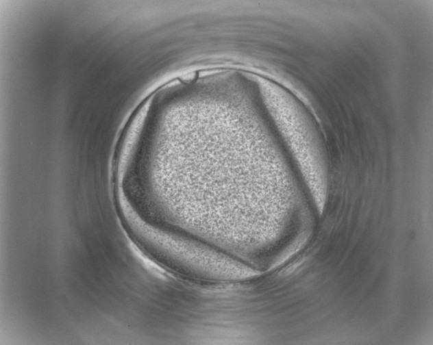 X0000073861535200608312013