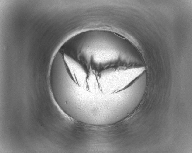 X0000073861536200608312013