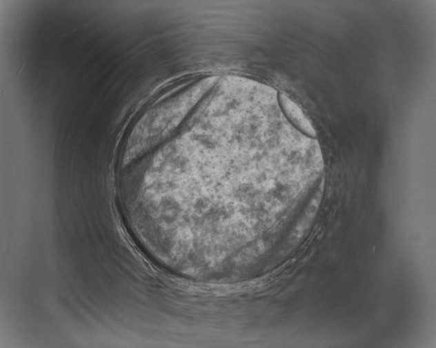 X0000073860002200609071645