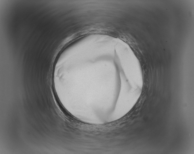 X0000073860003200609071645