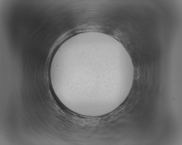 X0000073860004200609071645