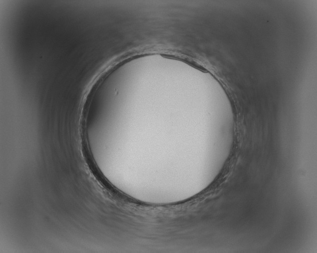 X0000073860007200609071645