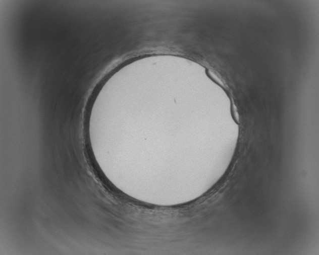 X0000073860008200609071645