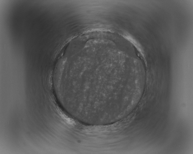 X0000073860009200609071645