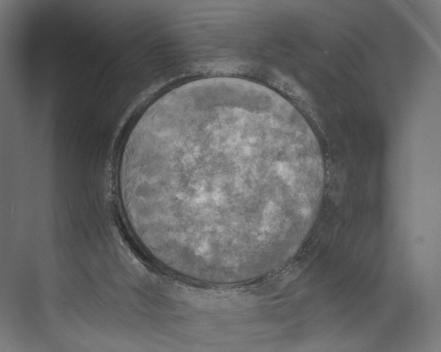 X0000073860012200609071645