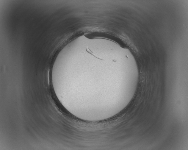 X0000073860014200609071645