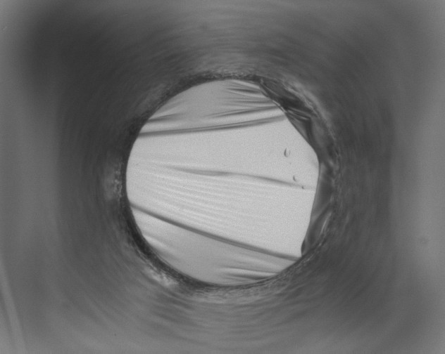 X0000073860017200609071645