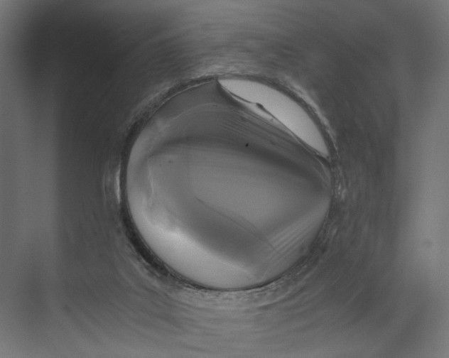 X0000073860019200609071645