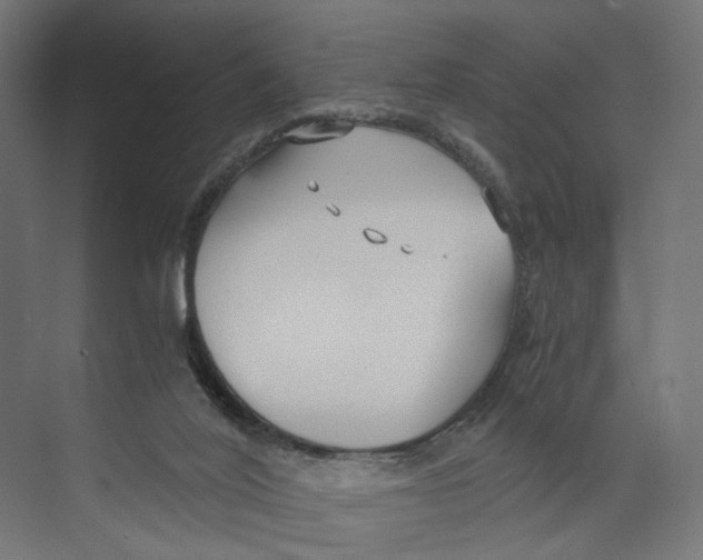 X0000073860020200609071645