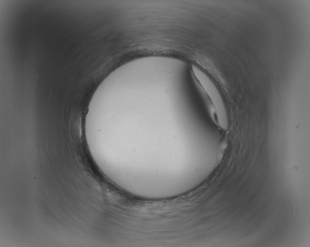 X0000073860021200609071645