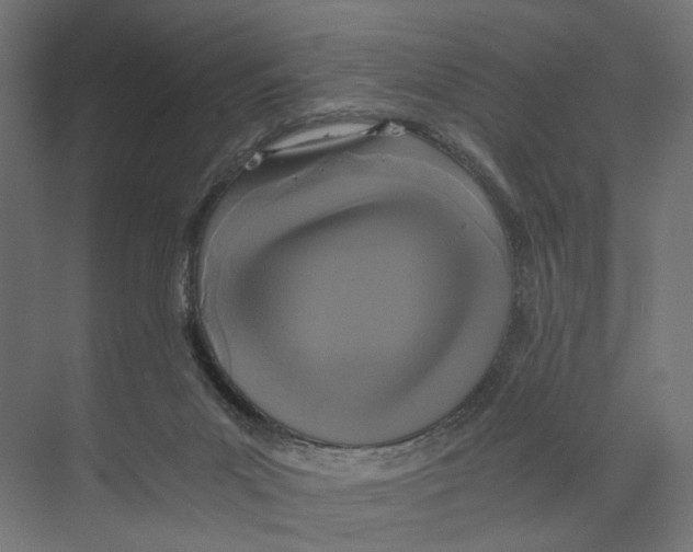 X0000073860023200609071645