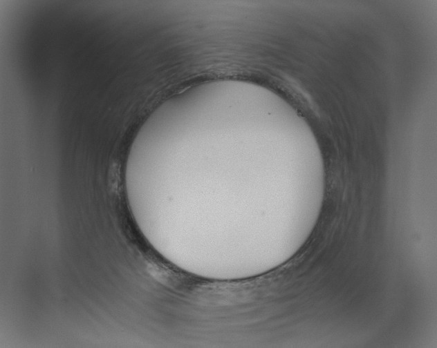 X0000073860025200609071645