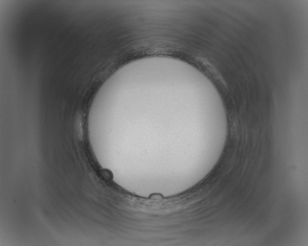 X0000073860026200609071645