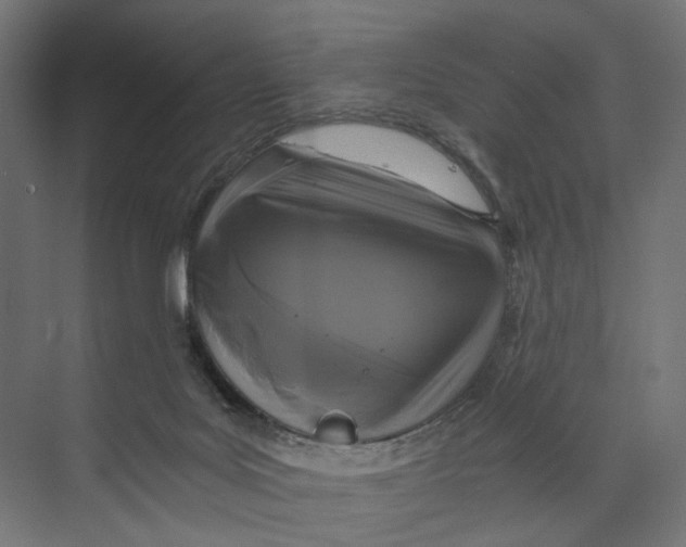 X0000073860027200609071645