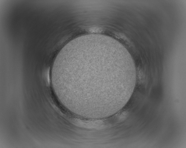 X0000073860028200609071645