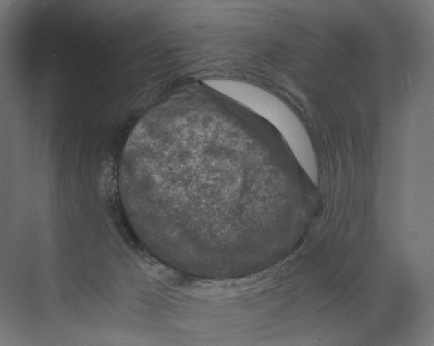 X0000073860029200609071645