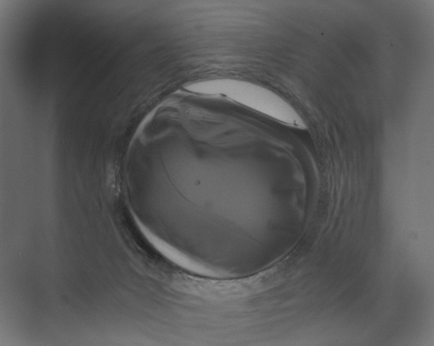 X0000073860031200609071645