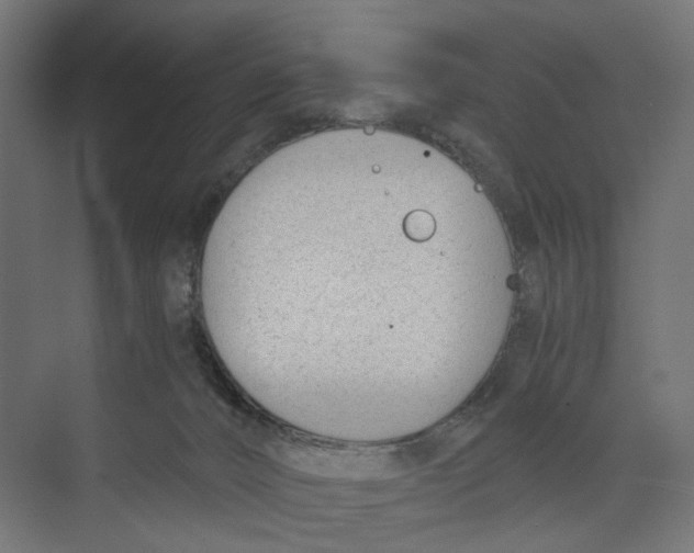 X0000073860032200609071644