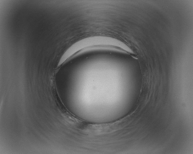 X0000073860033200609071644