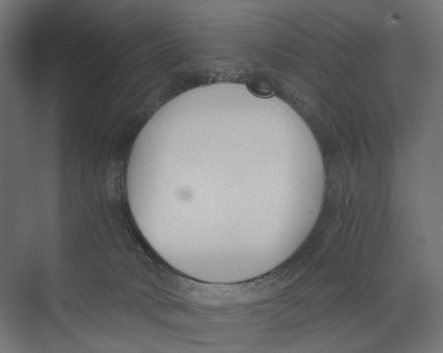 X0000073860034200609071644