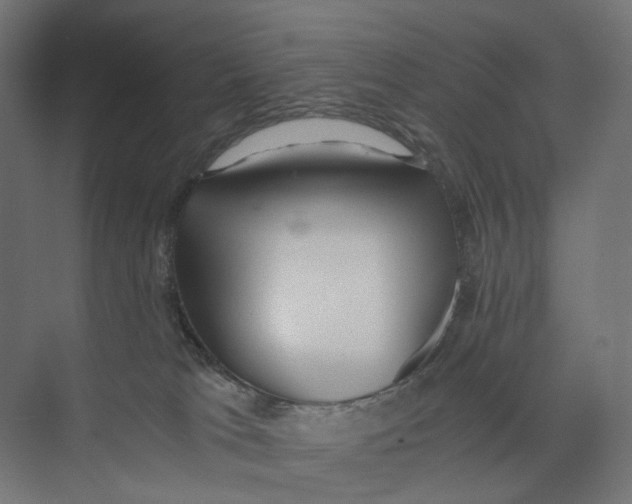 X0000073860037200609071644