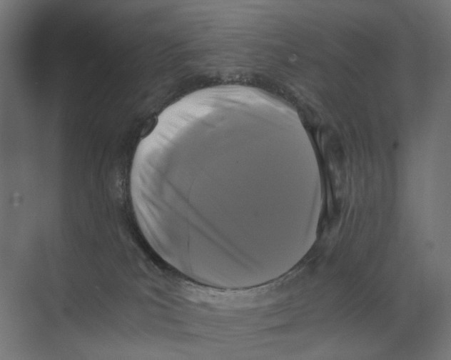 X0000073860039200609071644