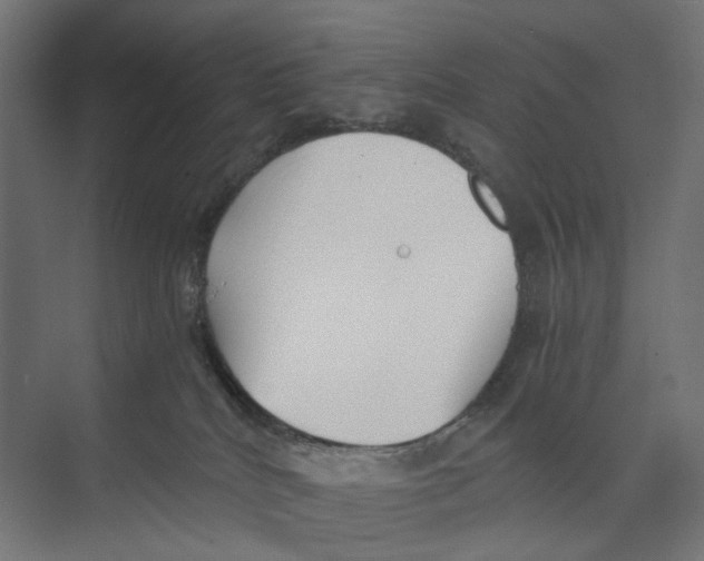 X0000073860040200609071644