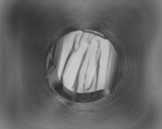 X0000073860041200609071644