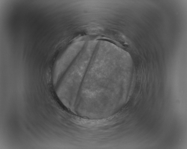 X0000073860043200609071644