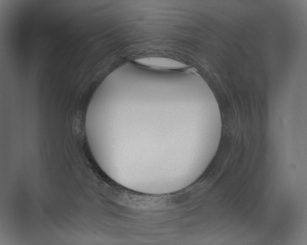 X0000073860044200609071644